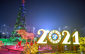 Новогодняя елка в Бишкеке попала в топ-5 самых высоких в СНГ